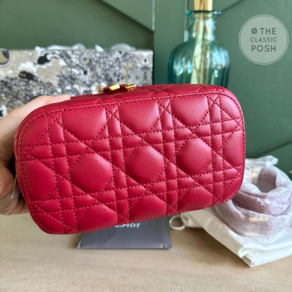 BNWT DIOR TRAVEL VANITY LAMBSKIN SMALL  LEATHER CROSSBODY BAG - Picture 7 of 12